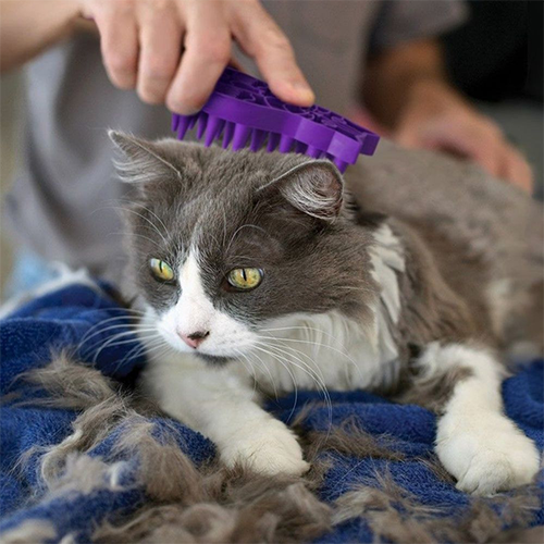 Kong ® - Cat Zoom Groom