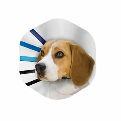 Kong - EZ Clear Cone Collar
