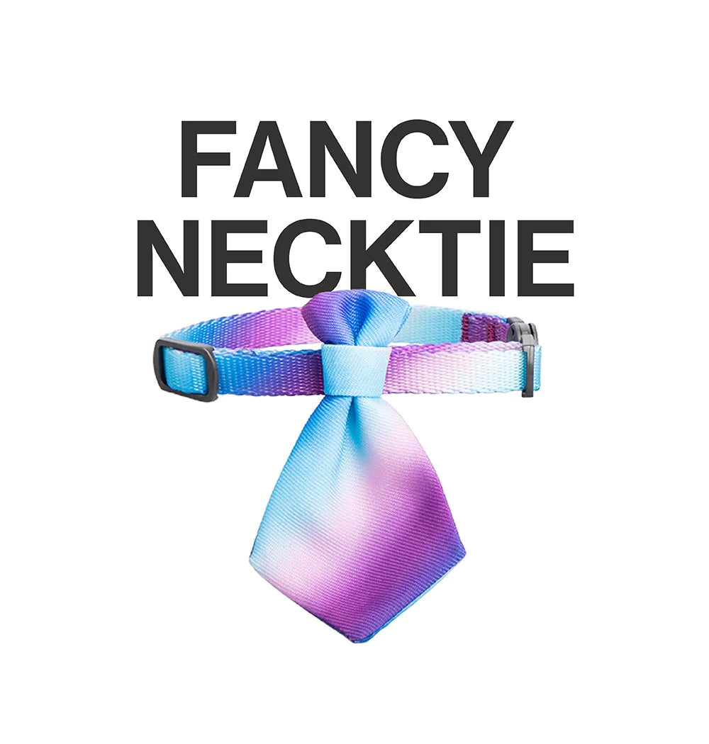 Pidan - Pet Necktie Rainbow Style