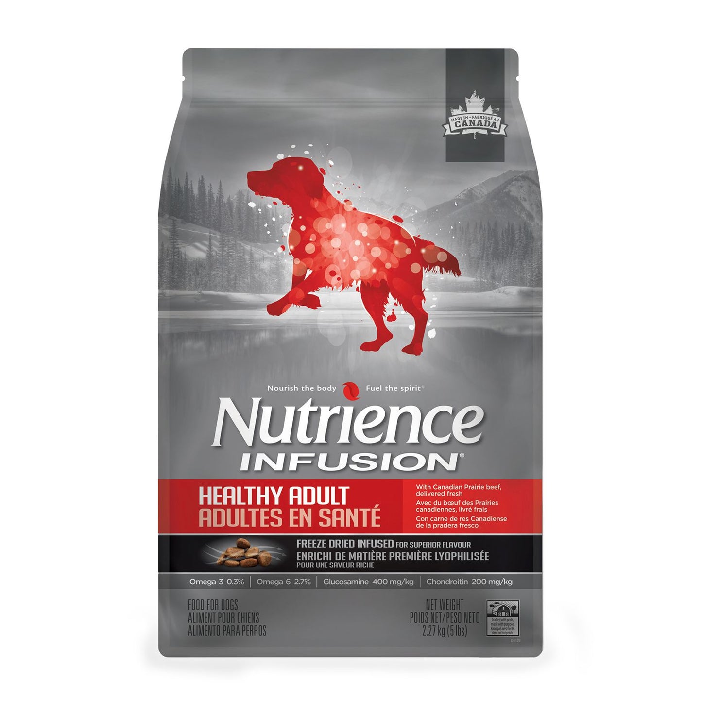 Nutrience Infusion - Healthy Adult Beef Dry Dog Food