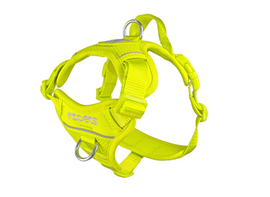RC pets - Momentum Control Harness Tennis/Yellow