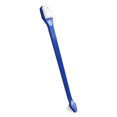 Bluestem - Oral Care Dental Toothbrushes 2pk