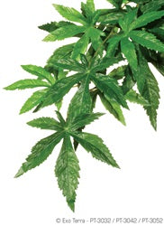 Exo Terra Jungle Plant, Silk, small - "Abutilon"
