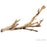 Exo Terra Forest Branch 12"