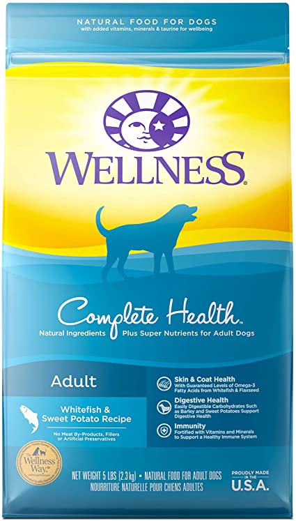 Wellness Complete Health - Adult Fish & Sweet Potato Recipe Dry Dog Food