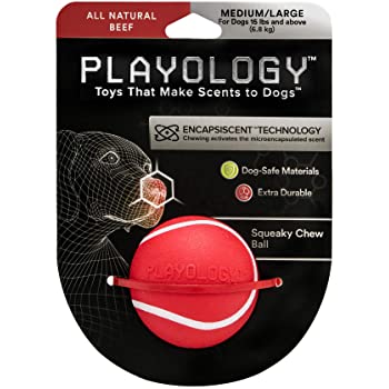 Playology - Squeaky Chew Ball