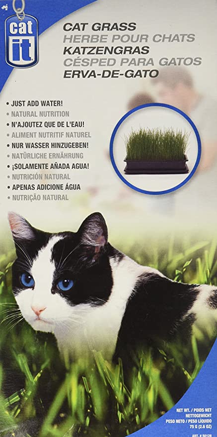 Catit - Cat Grass Kit 75g