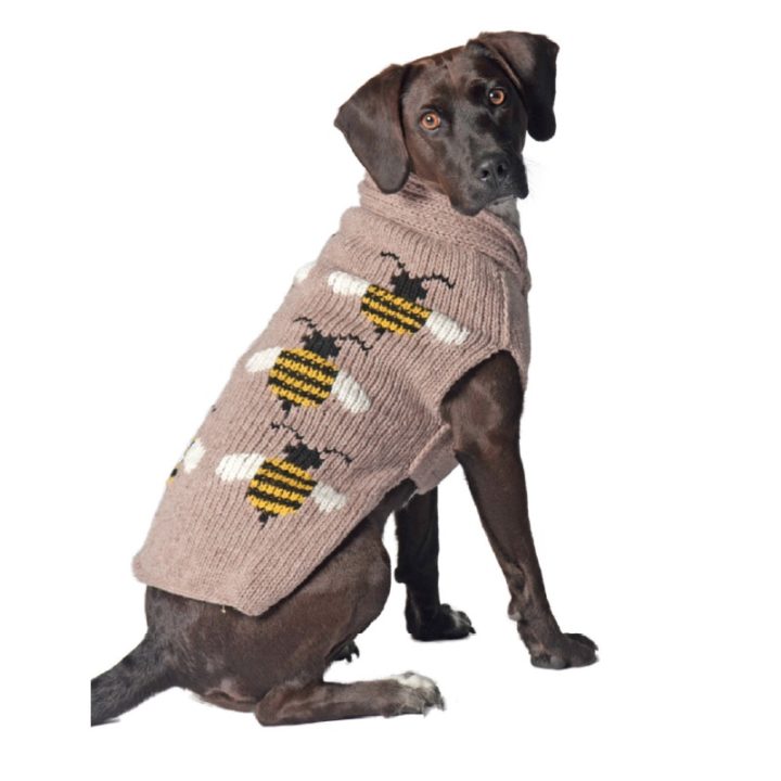 Chilly Dog - Bumble Bee Sweater