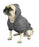 Canada Pooch - Canada Pooch - Cozy Caribou Hoodie  - Pet Cuisine & Accessories - 1
