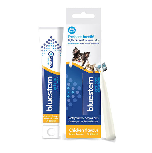 Bluestem Oral Care - Toothpaste W/ Brush Chicken Flavoured For Cats & Dogs 70g