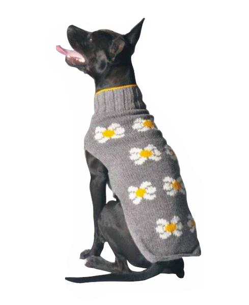 Chilly Dog - Daisy Sweater
