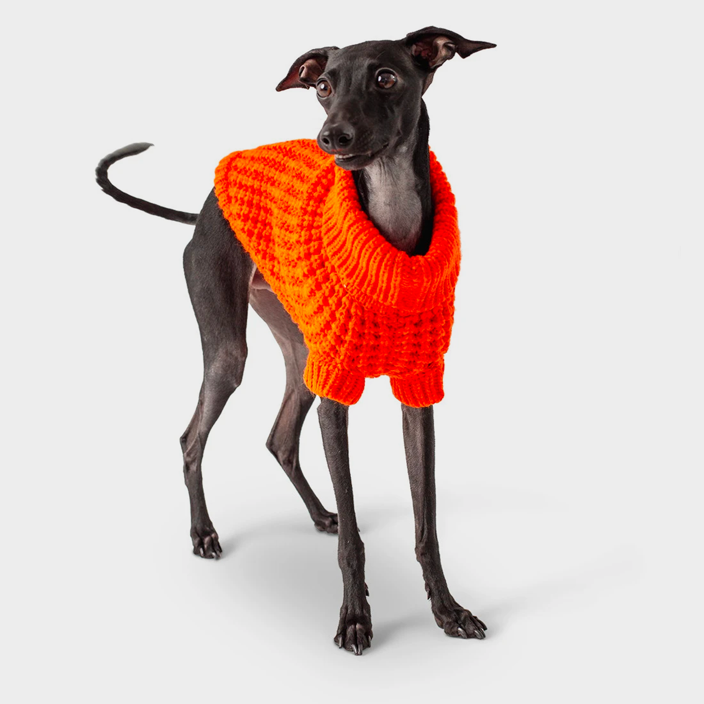 GF Pet - Scout Sweater Orange