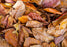 JRP Almond Leaf Litter
