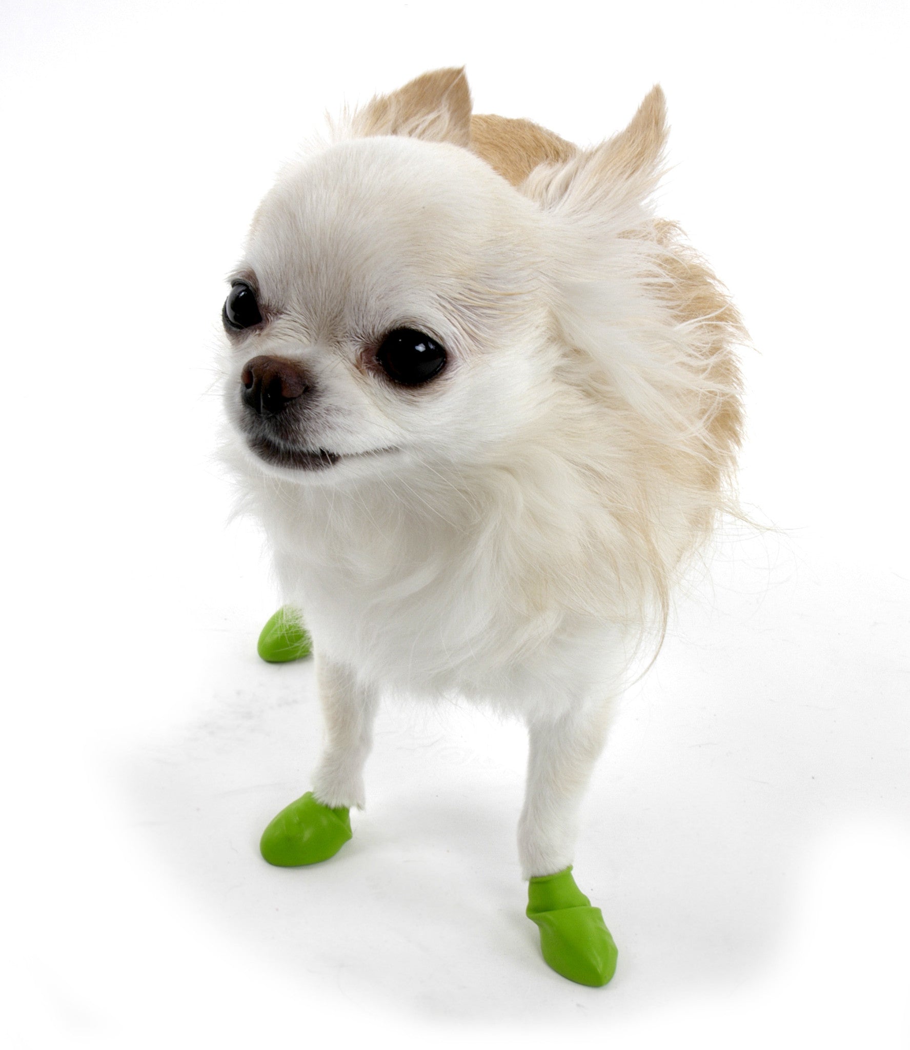 Pawz - Pawz - Dog Boots Tiny - Black - Pet Cuisine & Accessories - 3