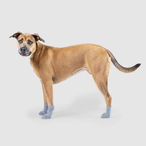Canada Pooch - The Basic Sock Grey
