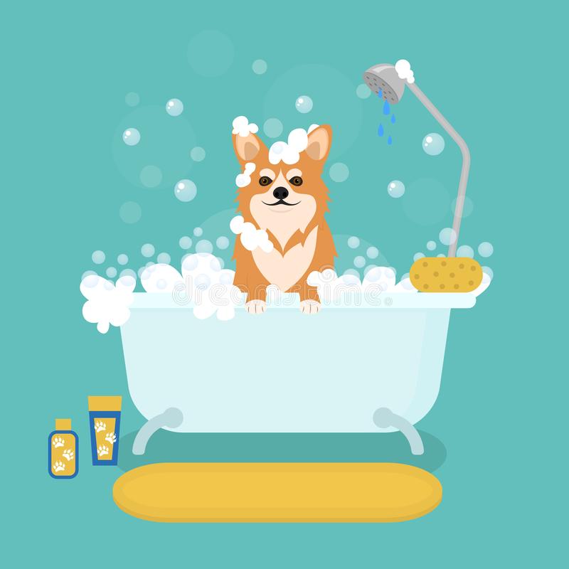 Grooming Appointment