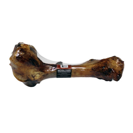 Baxter & Bella - Dino Bone Natural Dog Chew