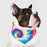 Canada Pooch - Chill Seeker Bandana Tie Dye