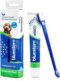 Bluestem Oral Care - Toothpaste W/ Brush Vanilla Mint Flavoured For Dogs 70g