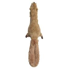 SPOT - Skinneeez Squirrel Dog Toy 14in