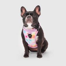 Canada Pooch - The Everything Harness Tie Dye