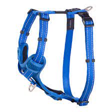 Rogz - Control Harness - Padded - Blue