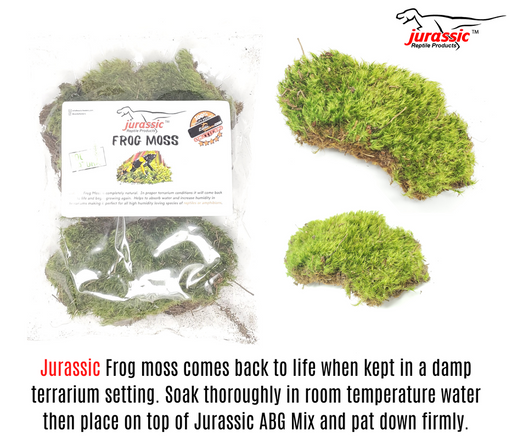 JRP Frog Moss