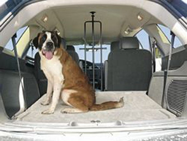 Travel barriers on sale for dogs