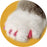 Soft Claws - Nail Caps