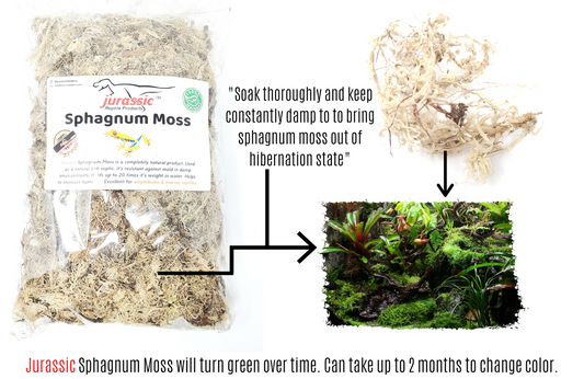 JRP Sphagnum Moss