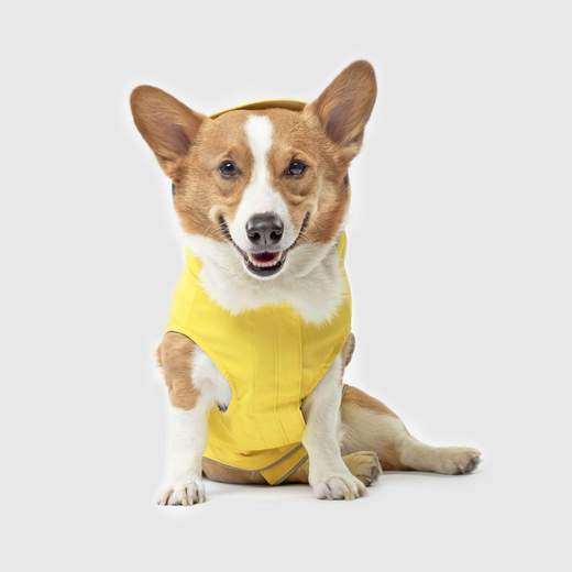 Canada Pooch - Yellow Torrential Tracker Rain Coat